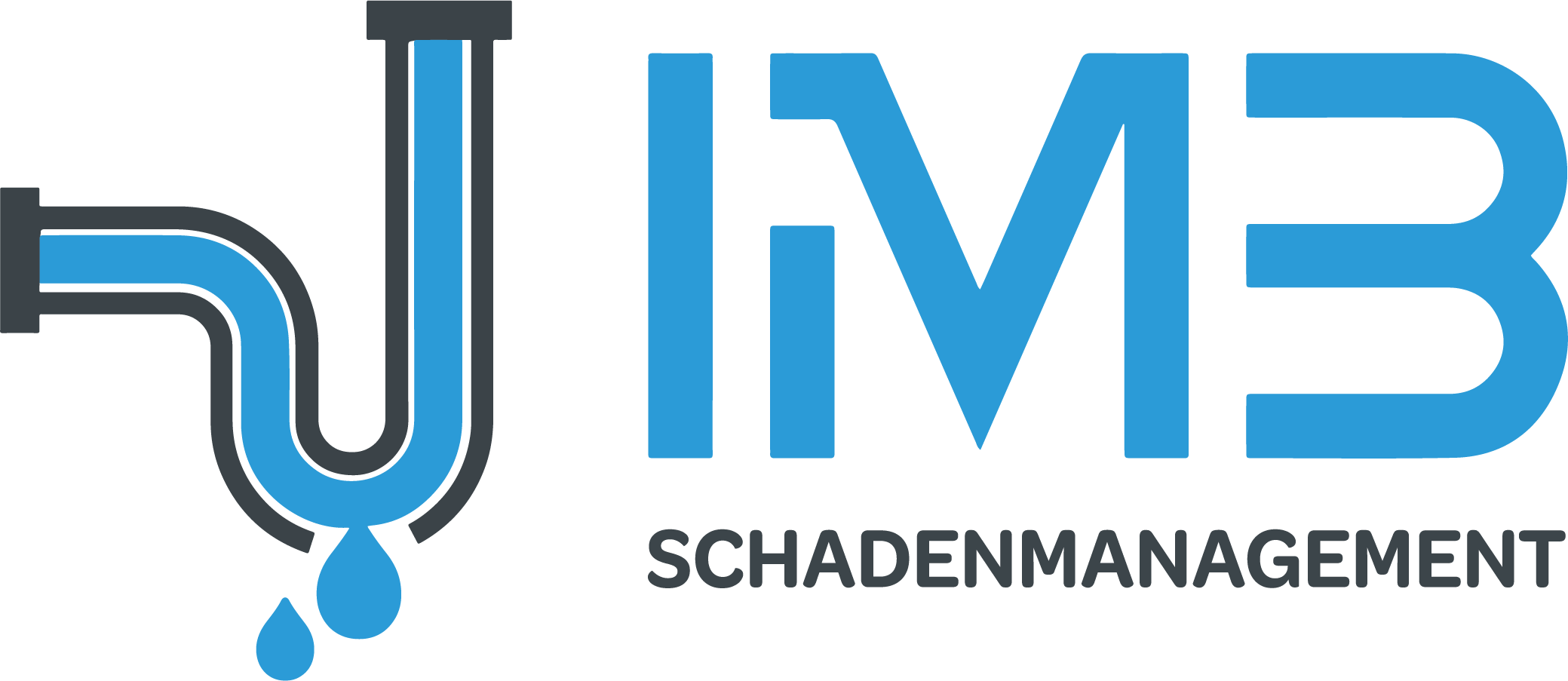 IMB Schaden LOGO